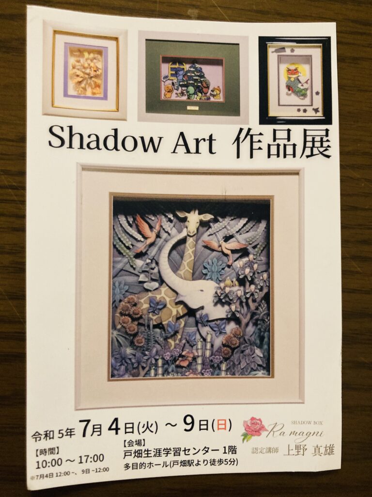 Shadow Art 作品展開催のお知らせ